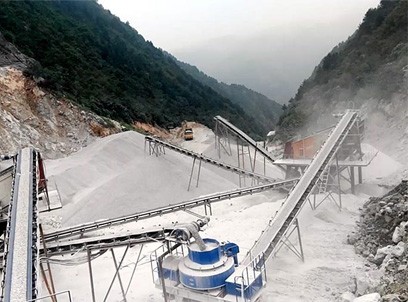 �������100��ֻ�������ɰ������