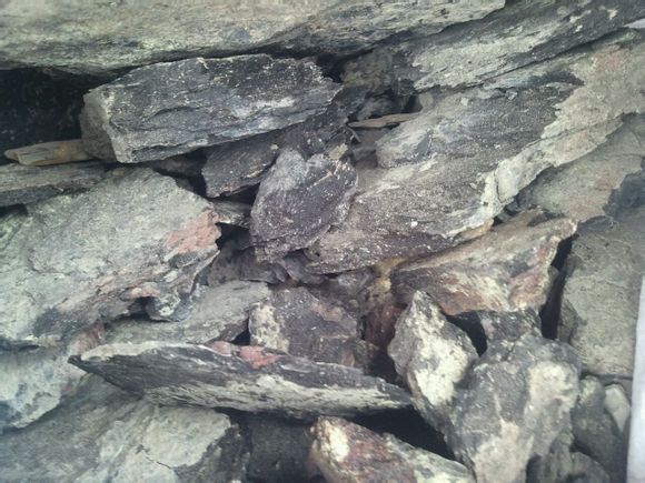 ��ҳ���������������պ��豸