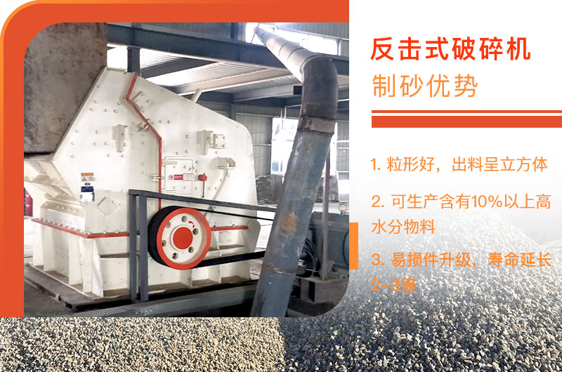 1010��������������