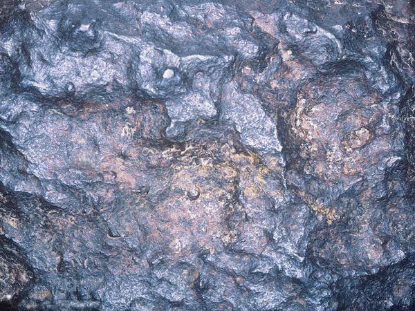 ����������ͼ