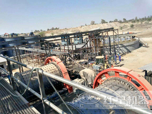 ѡ����ҵ�ֳ�