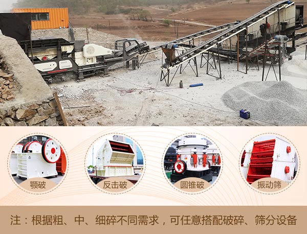 ��ƶ�����