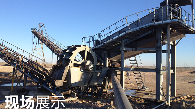 ϴɰ���ֳ�չʾ