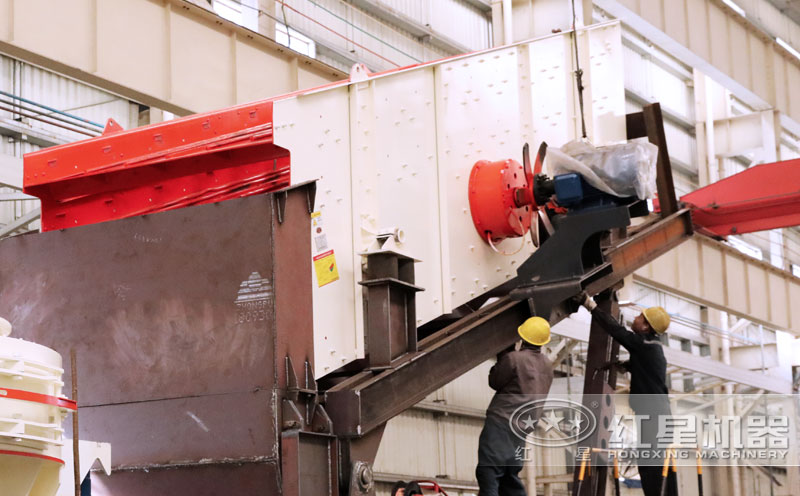 ѡ������