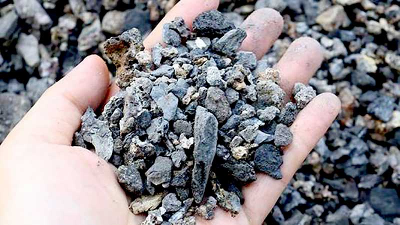 ��¯����