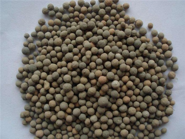 ճ������